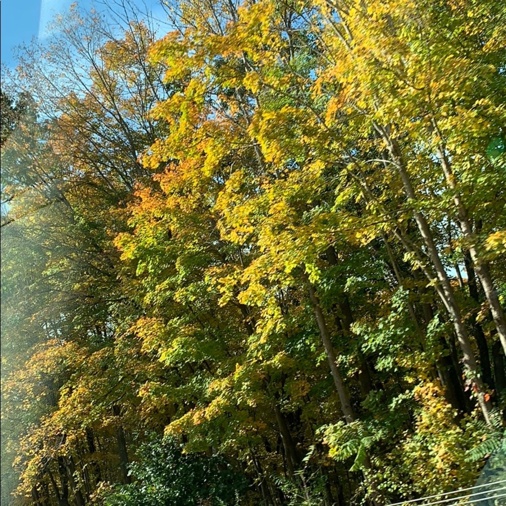 Meet your Posher, Kari